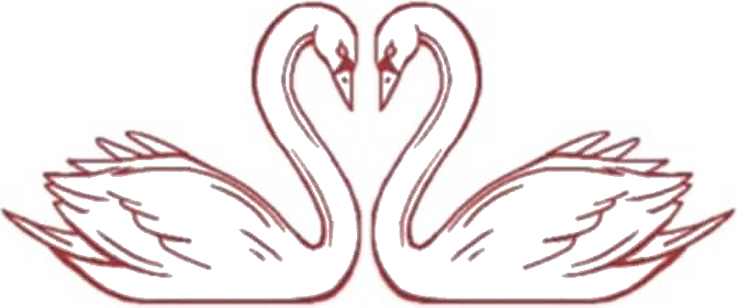 Next Generation Founders Club